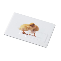 Pendrive 16GB MEMORAMA