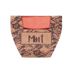 Nasiona mięty w doniczce MINT POT