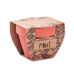Nasiona mięty w doniczce MINT POT