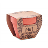 Nasiona mięty w doniczce MINT POT