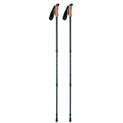 Kijki do nordic walking NOLE