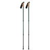 Kijki do nordic walking NOLE