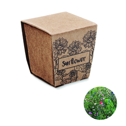 Zestaw do uprawy słonecznika SUNFLOWER KIT