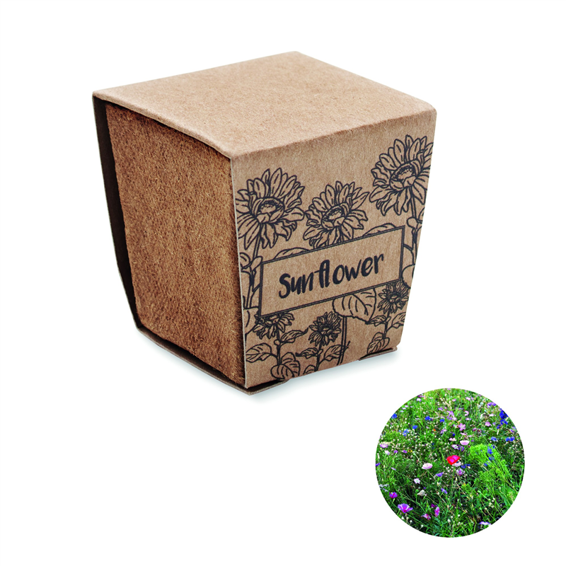 Zestaw do uprawy słonecznika SUNFLOWER KIT