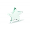 Szklana statuetka gwiazda STARWARD