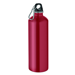 Butelka z 1 ścianką 1000 ml RE-ONE MOSS