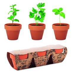 Zestaw 3 doniczek z terakoty FLOWERPOT