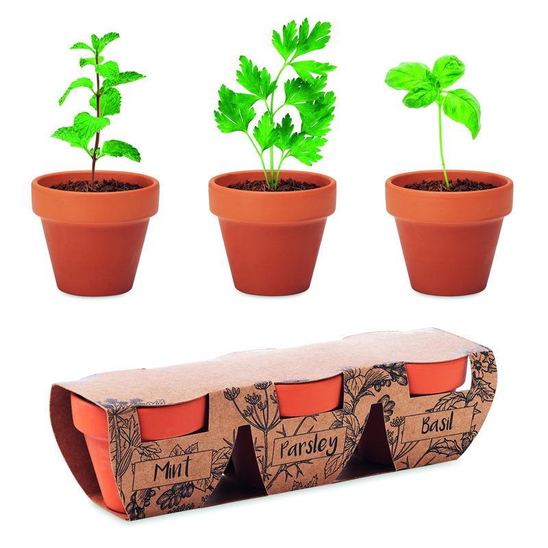 Zestaw 3 doniczek z terakoty FLOWERPOT