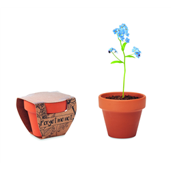 Doniczka, niezapominajka FORGET ME NOT