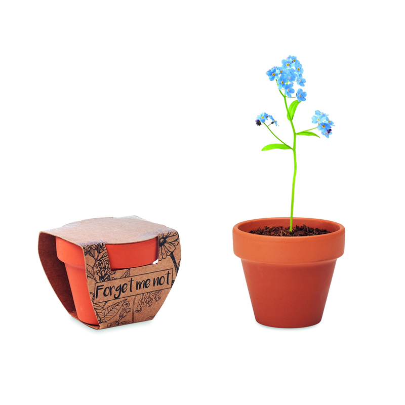 Doniczka, niezapominajka FORGET ME NOT