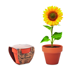 Doniczka, słonecznik SUNFLOWER