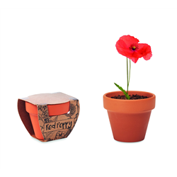 Doniczka, mak RED POPPY