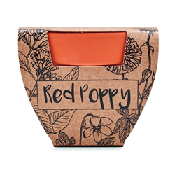 Doniczka, mak RED POPPY