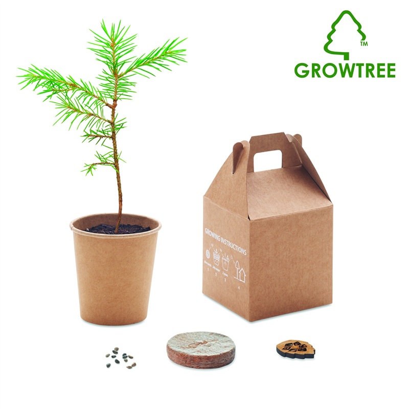 Nasiona sosny, torf, doniczka GROWTREE™
