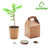 Nasiona sosny, torf, doniczka GROWTREE™
