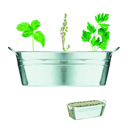 Cynkowa wanienka z nasionami MIX SEEDS