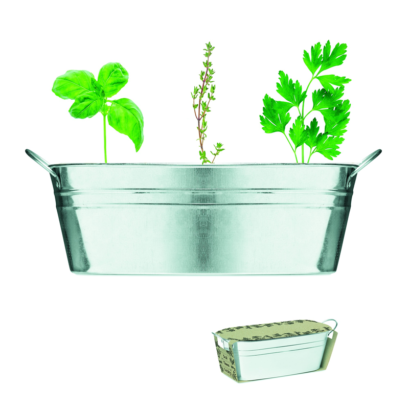Cynkowa wanienka z nasionami MIX SEEDS