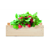 Zestaw do uprawy truskawek STRAWBERRY