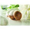 Balsam do ust w bambusie SOFT LUX