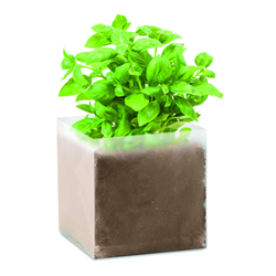 Zestaw do uprawy "Bazylia" BASIL