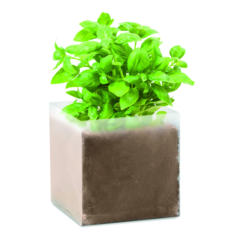 Zestaw do uprawy "Bazylia" BASIL