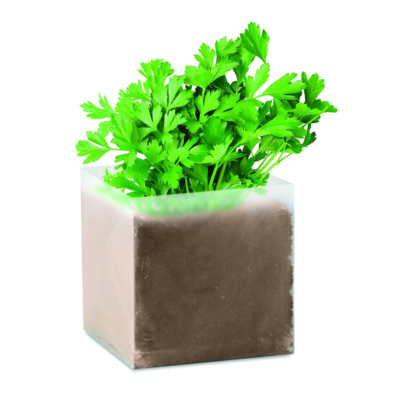 Zestaw do uprawy "Pietruszka " PARSELY