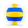 Piłka do siatkówki VOLLEY