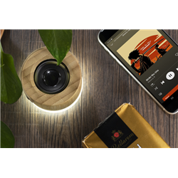 Głośnik bezprzewodowy RORAT