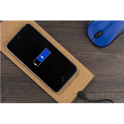 Ładowarka indukcyjna LEVORA