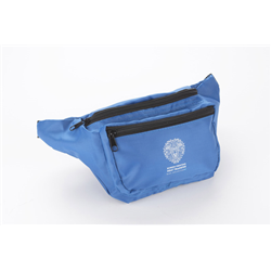 Torebka biodrowa RINI